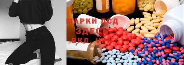 крисы Алексин