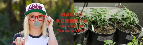 крисы Алексин