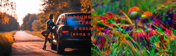 крисы Алексин