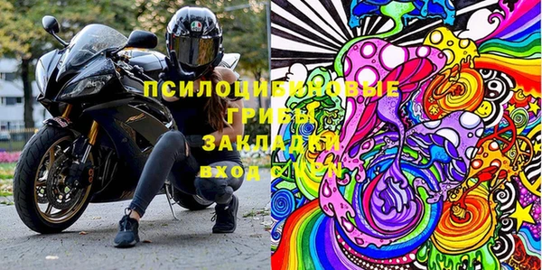 крисы Алексин