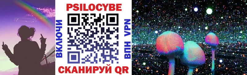 Галлюциногенные грибы ЛСД  Купить где  Каменка 